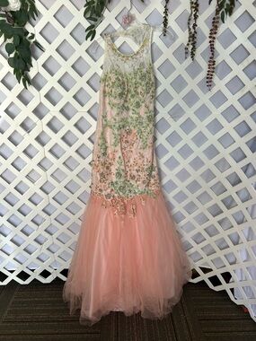 Rachel Allan Blush Pink Beaded Mermaid Gown Formal Prom Dress Size6 Tulle Bottom